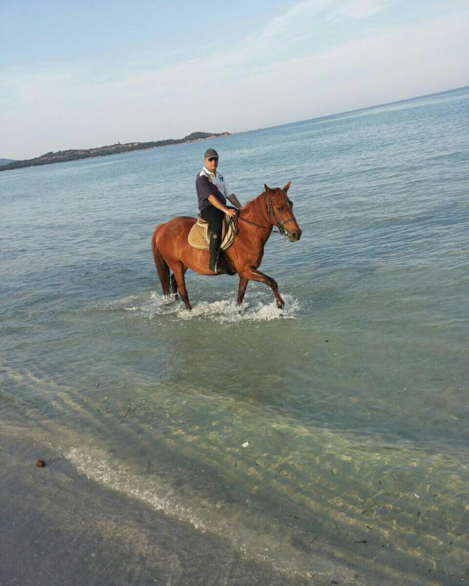 Villa Dettori San Teodoro  Kültér fotó