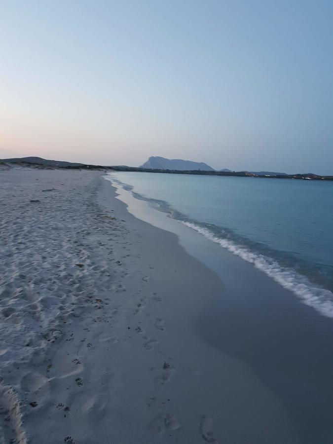 Villa Dettori San Teodoro  Kültér fotó