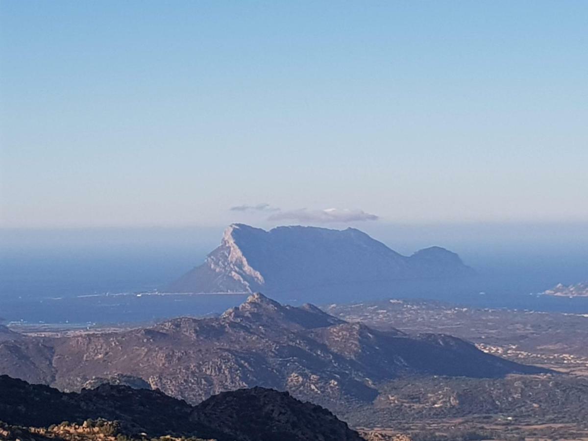 Villa Dettori San Teodoro  Kültér fotó